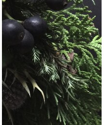 yukari | フラワーベース