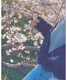 GU | デニムパンツ