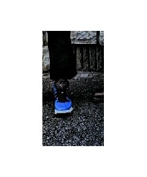 Jordan | スニーカー