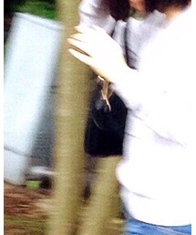 SLOBE IENA | バッグ