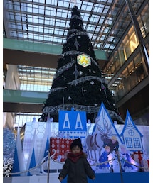 🎄 | その他