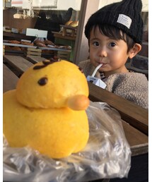 🐤 | その他
