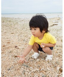 🐚 | その他