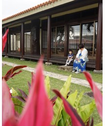 🌺 | その他