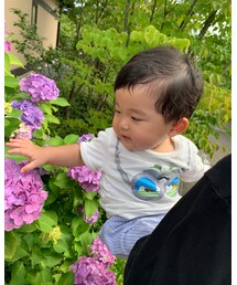 紫陽花と僕 | その他