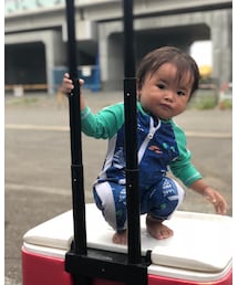 ひょっこりはん | その他