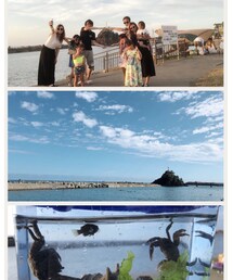 新潟の思い出🐚🏖 | その他