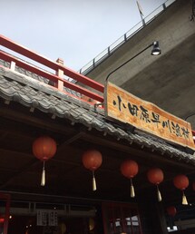 小田原早川漁村 | 駐車場混み過ぎ(その他)