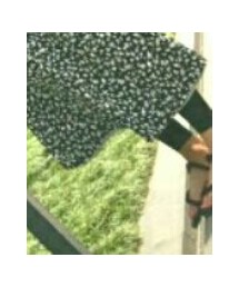 mont-bell | サンダル