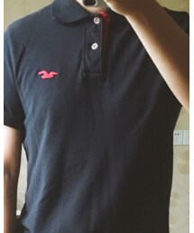 Hollister | ポロシャツ