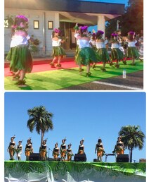 ﾌﾗ🌴ｲﾍﾞﾝﾄ | その他