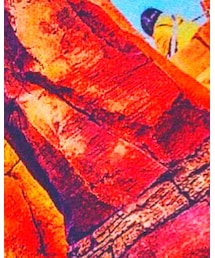 evanece | スウェット