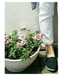 TOMS | その他シューズ