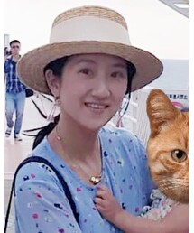 wica grocery | ハット