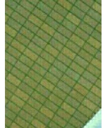 おさがり | ピアス（片耳用）