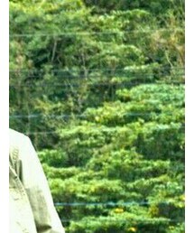 Marine　Bear　Cone | ステンカラーコート