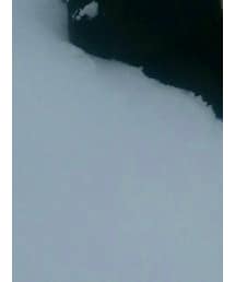 THE NORTH FACE | ダウンジャケット/コート