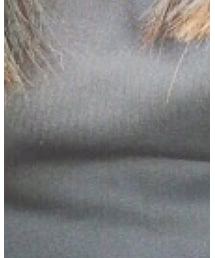 WEGO | Tシャツ/カットソー