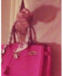 HERMES | ストール/ショール