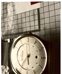 SKAGEN | アナログ腕時計