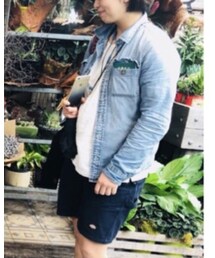 Hollister | シャツ/ブラウス