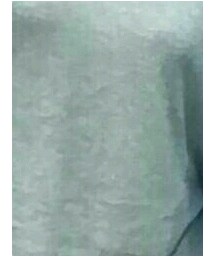 PAZZO | トップス