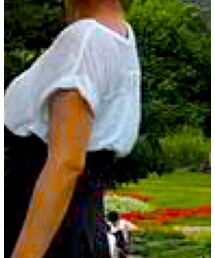 rag & bone | Tシャツ/カットソー