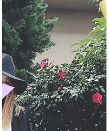 しまむら | ハット