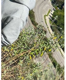 H&M | ニットキャップ/ビーニー