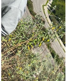 NIKE | マウンテンパーカー