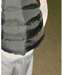 ANCESTRESS | ダウンベスト