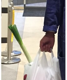 ネギ | その他