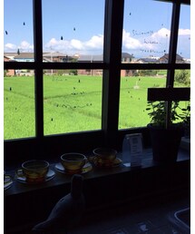 🛋巡り2️⃣ | その他