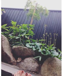 ♨︎ | 古湯温泉☆(その他)