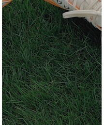 CONVERSE | その他シューズ