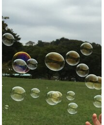 シャボン玉 | その他