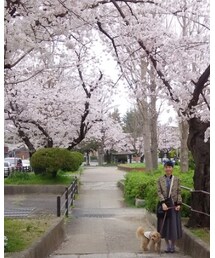 さくら | お花見🌸(その他)