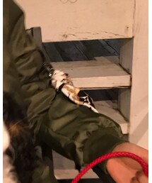 LOUIS VUITTON | マフラー