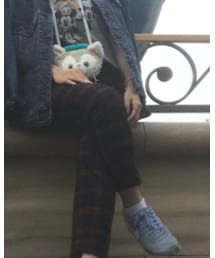 UNIQLO | その他パンツ