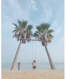 ヤシの木ブランコ🏝 | その他