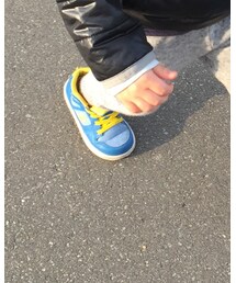 DC SHOES | スニーカー