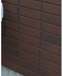 FOREVER 21 | スカート