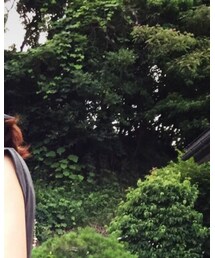 GLOBAL WORK | ハット