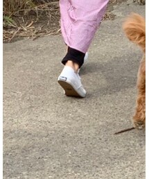Keds | スニーカー