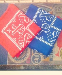 Inpaichthys kerri | バンダナ(その他ヘアアクセサリー)