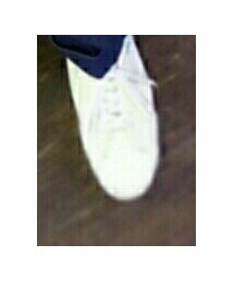 PRO-Keds | スニーカー