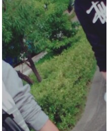 ゲンキー | その他