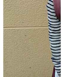 GUCCI | バックパック/リュック