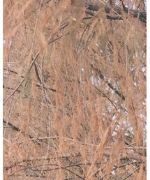 世纪公园 | その他