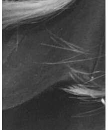 MOUSSY | トレンチコート